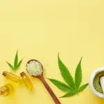 Cannabis light: i prodotti più apprezzati