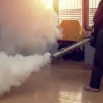 I vari tipi di disinfestazione