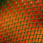 Perché installare una zanzariera in casa?