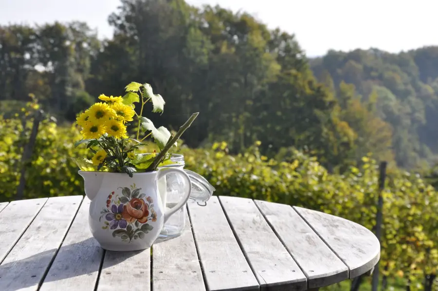 Come far durare i fiori recisi nel vaso