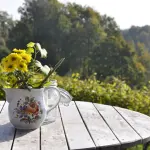 Come far durare i fiori recisi nel vaso