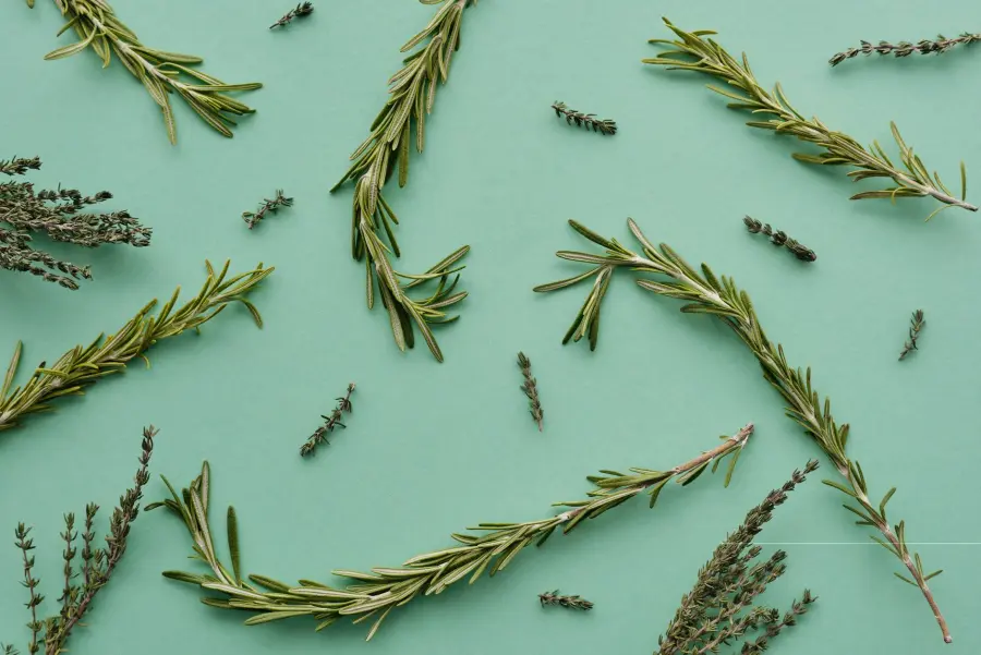 Come conservare erbe aromatiche essiccandole