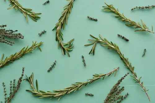 Come conservare erbe aromatiche essiccandole