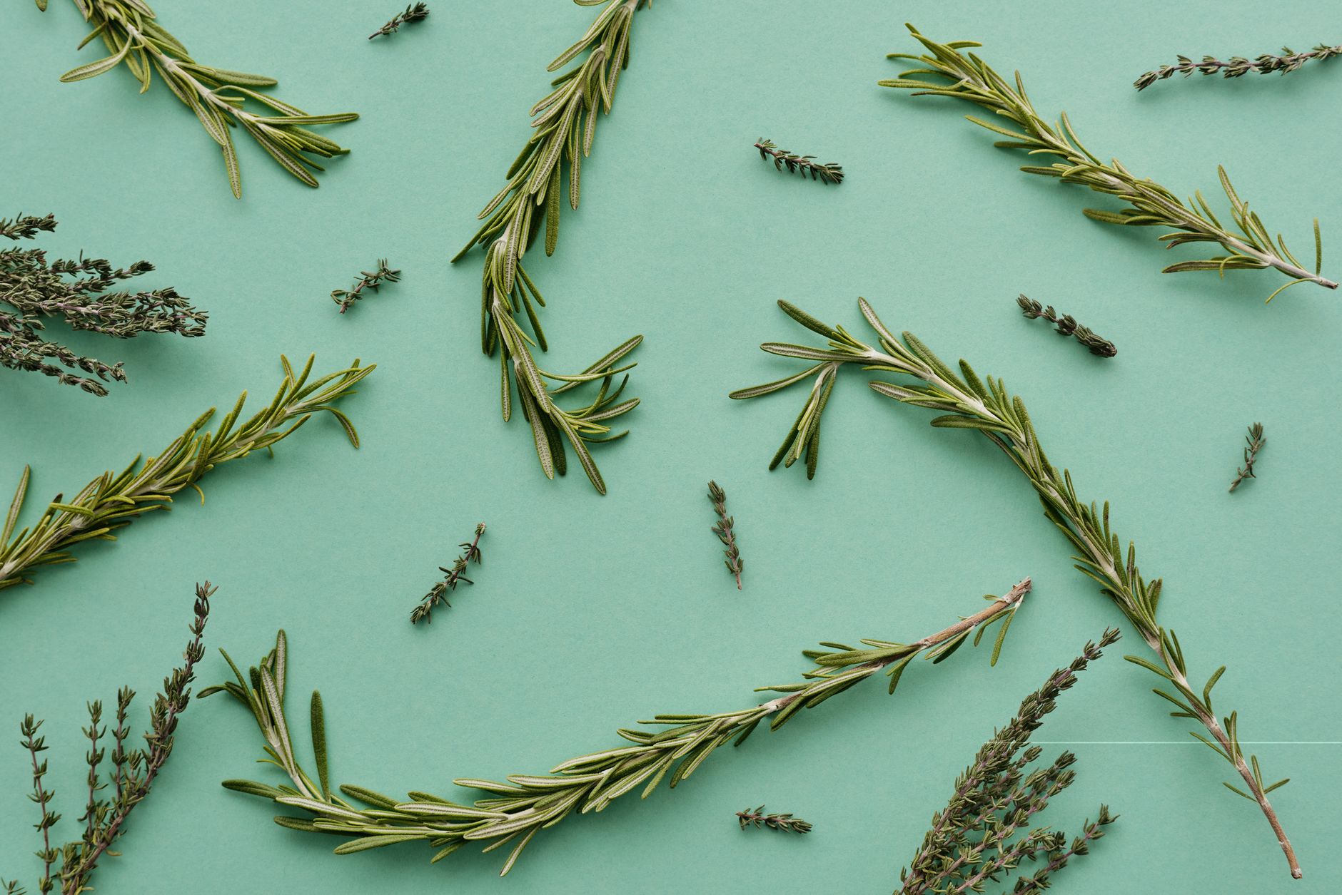 Come conservare erbe aromatiche essiccandole