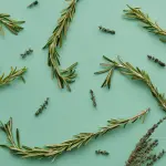 Come conservare erbe aromatiche essiccandole