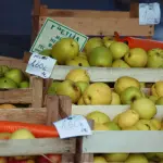 Conservare le mele: metodi e tempi per tenerle fresche