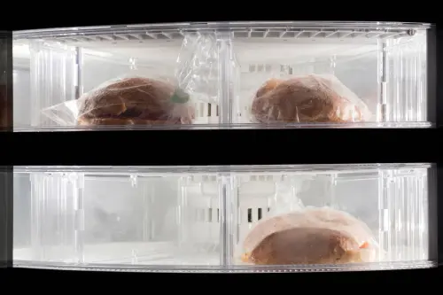 Congelare il pane: guida tecnica completa