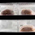 Congelare il pane: guida tecnica completa