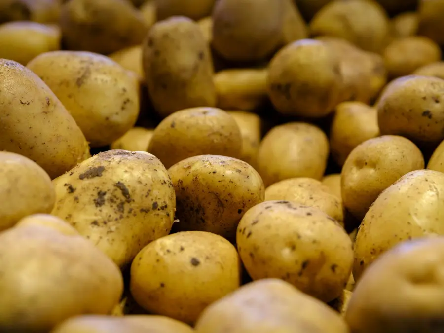 Conservare le patate: come evitare i germogli