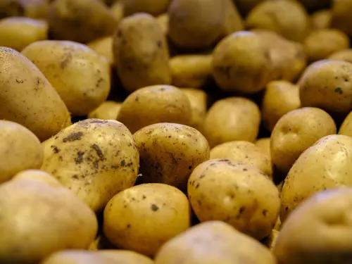 Conservare le patate: come evitare i germogli