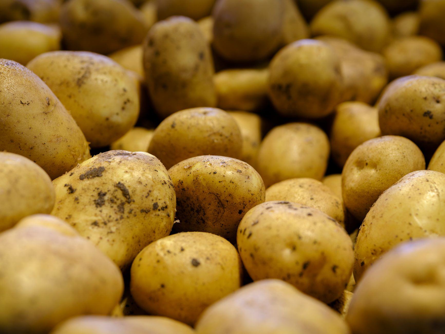 Conservare le patate: come evitare i germogli