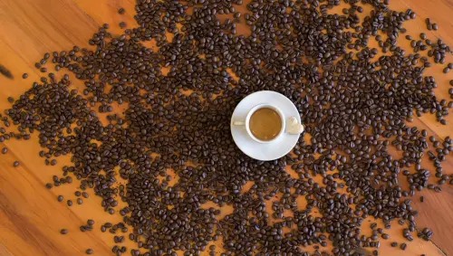Fondi di caffè: come riutilizzarli in casa e in giardino