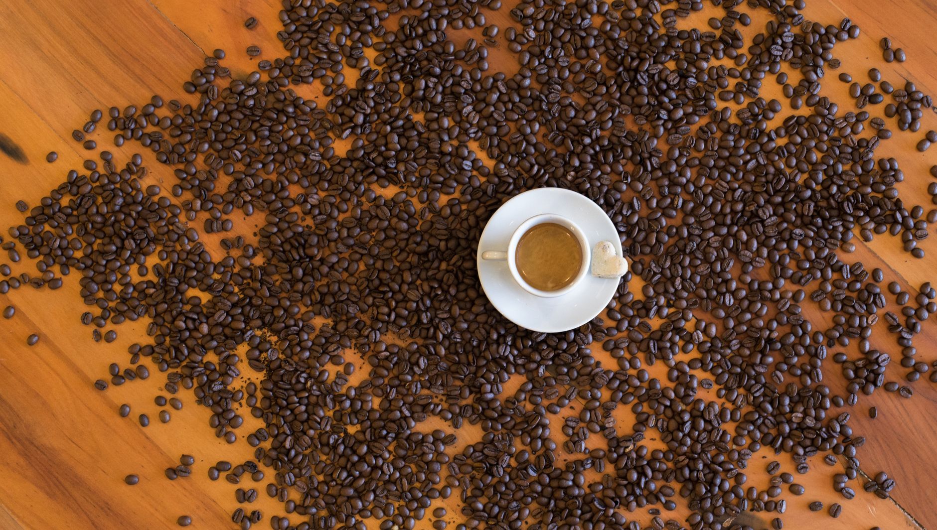 Fondi di caffè: come riutilizzarli in casa e in giardino
