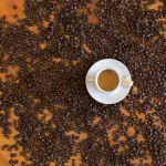 Fondi di caffè: come riutilizzarli in casa e in giardino