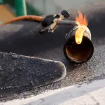 Come classificare la guaina bituminosa