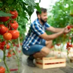 Avviare un’attività agricola: gli strumenti di cui non si può fare a meno