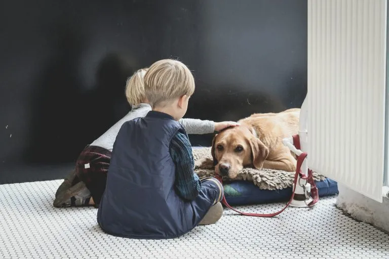 Le cinque razze di cane più adatte a stare con i bambini